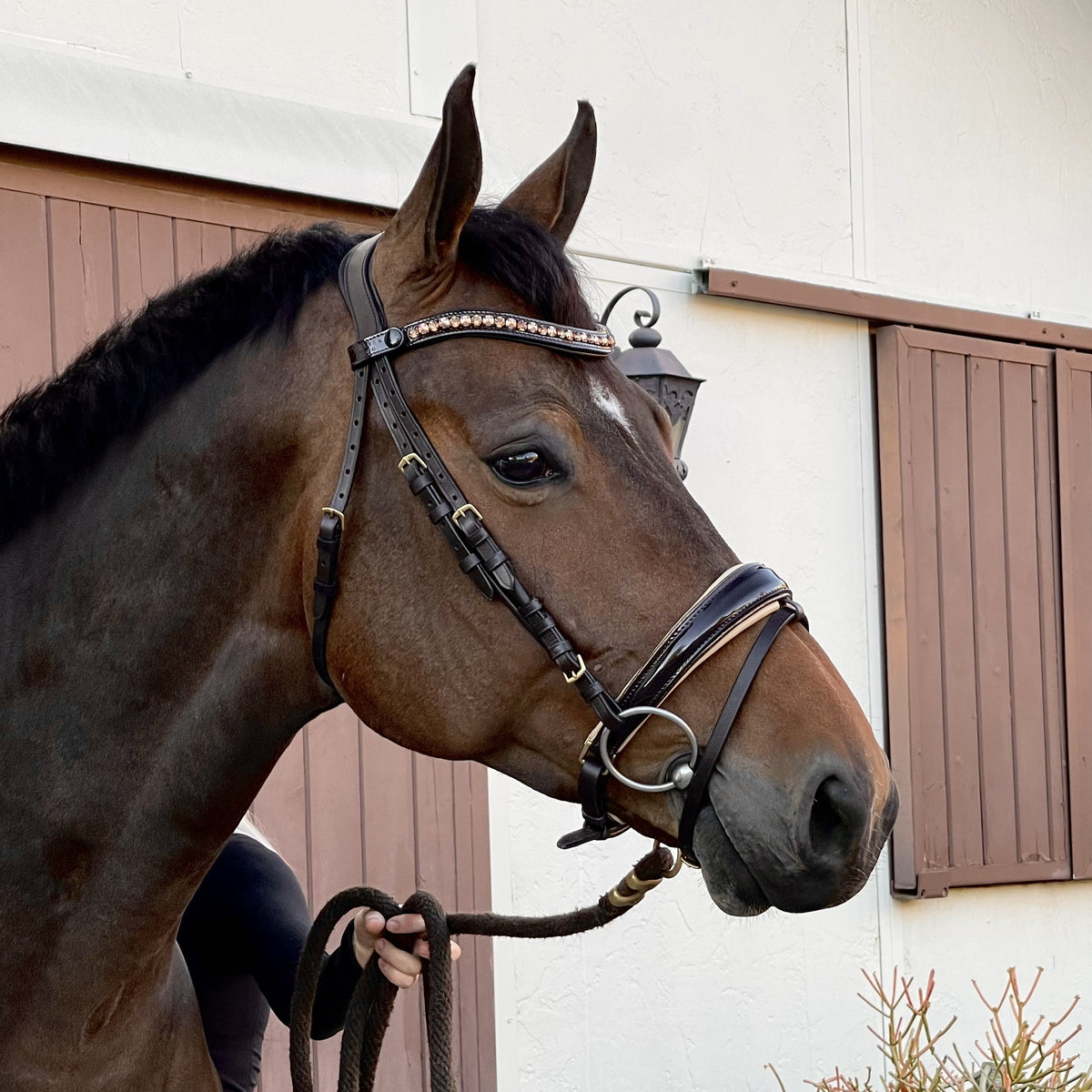 The Vienna Brown Patent Leather Snaffle Bridle with Bronze Golden Sparkle Piping