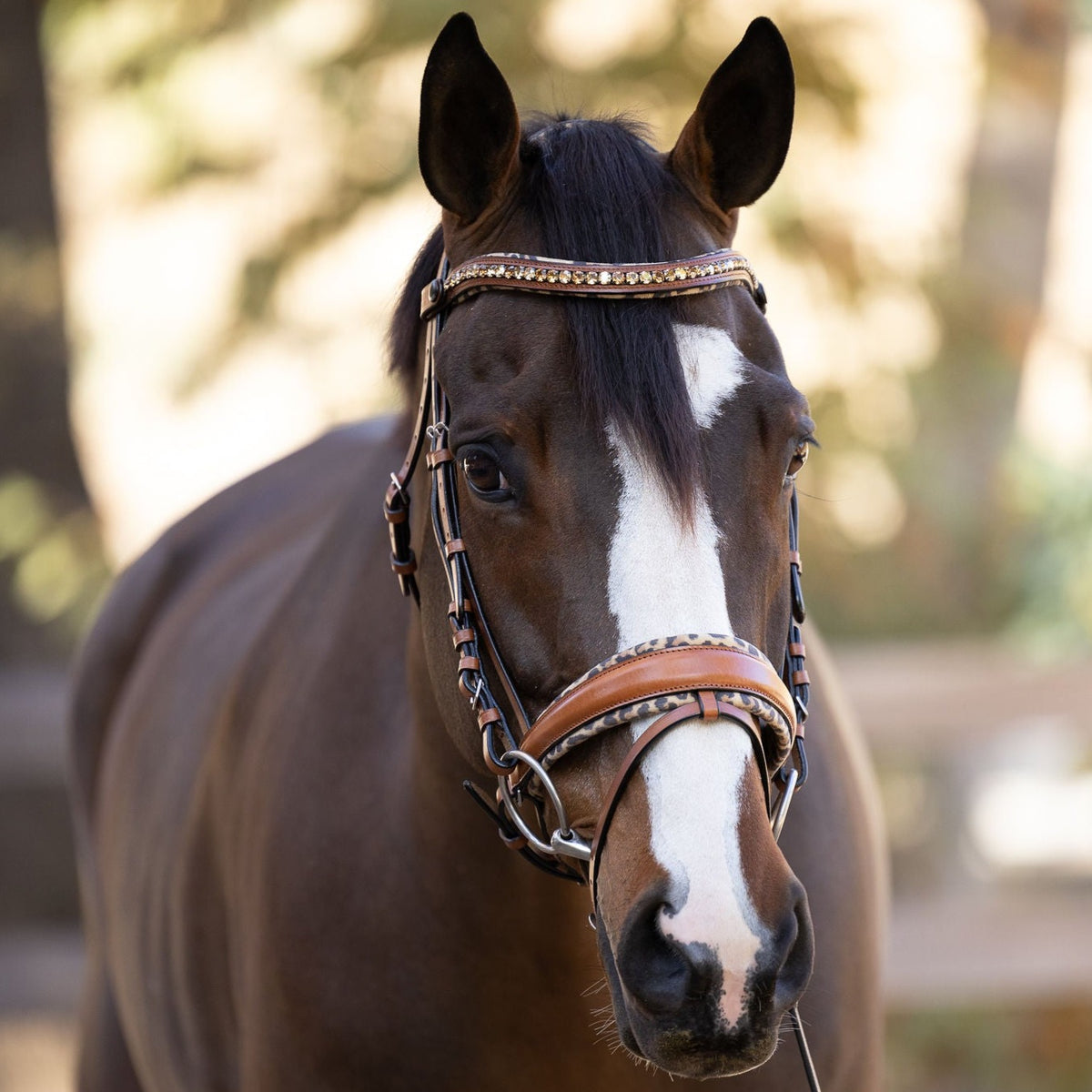 Sahara - Cognac Snaffle Bridle with Leopard Padding