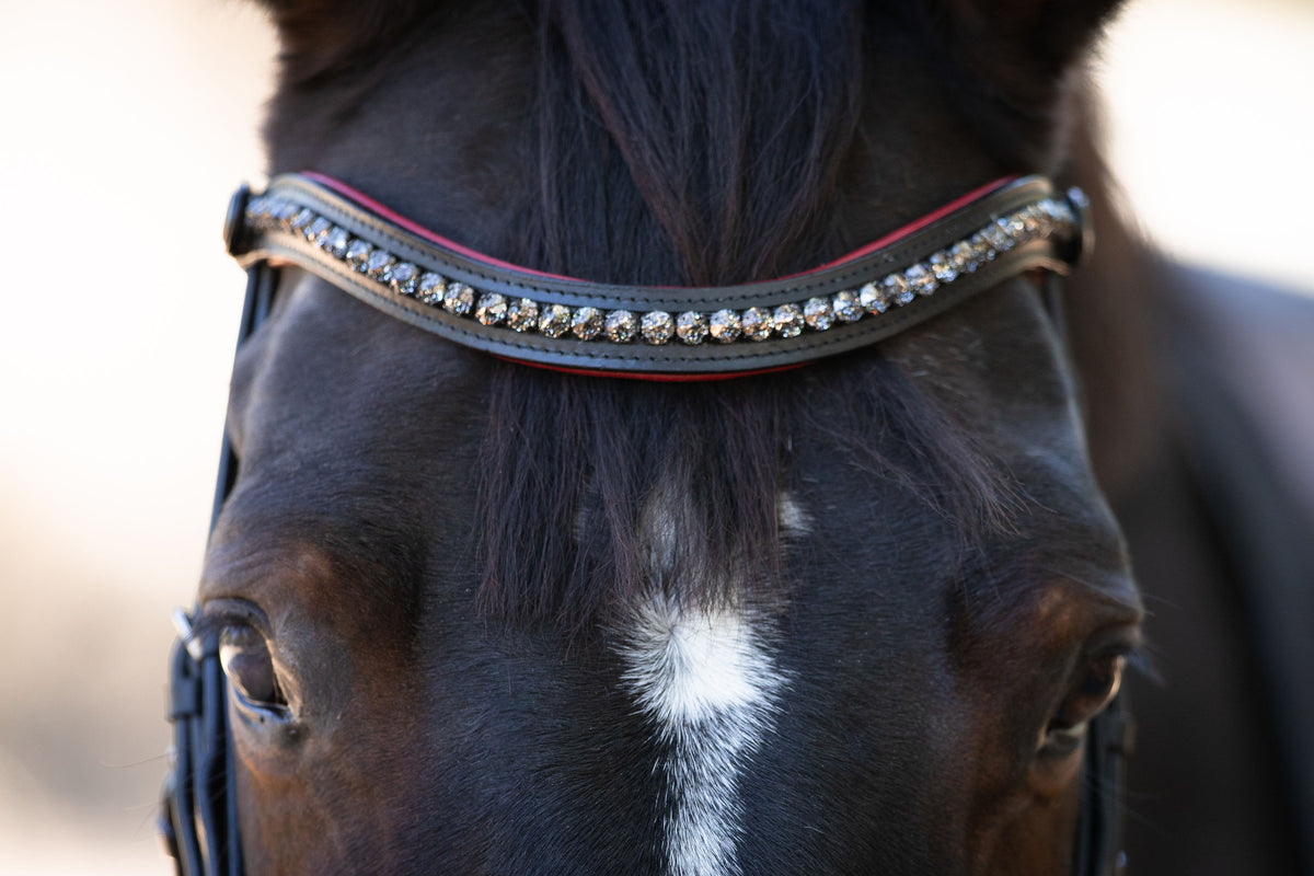 Scarlet - Black Leather Snaffle Bridle with Red Padding