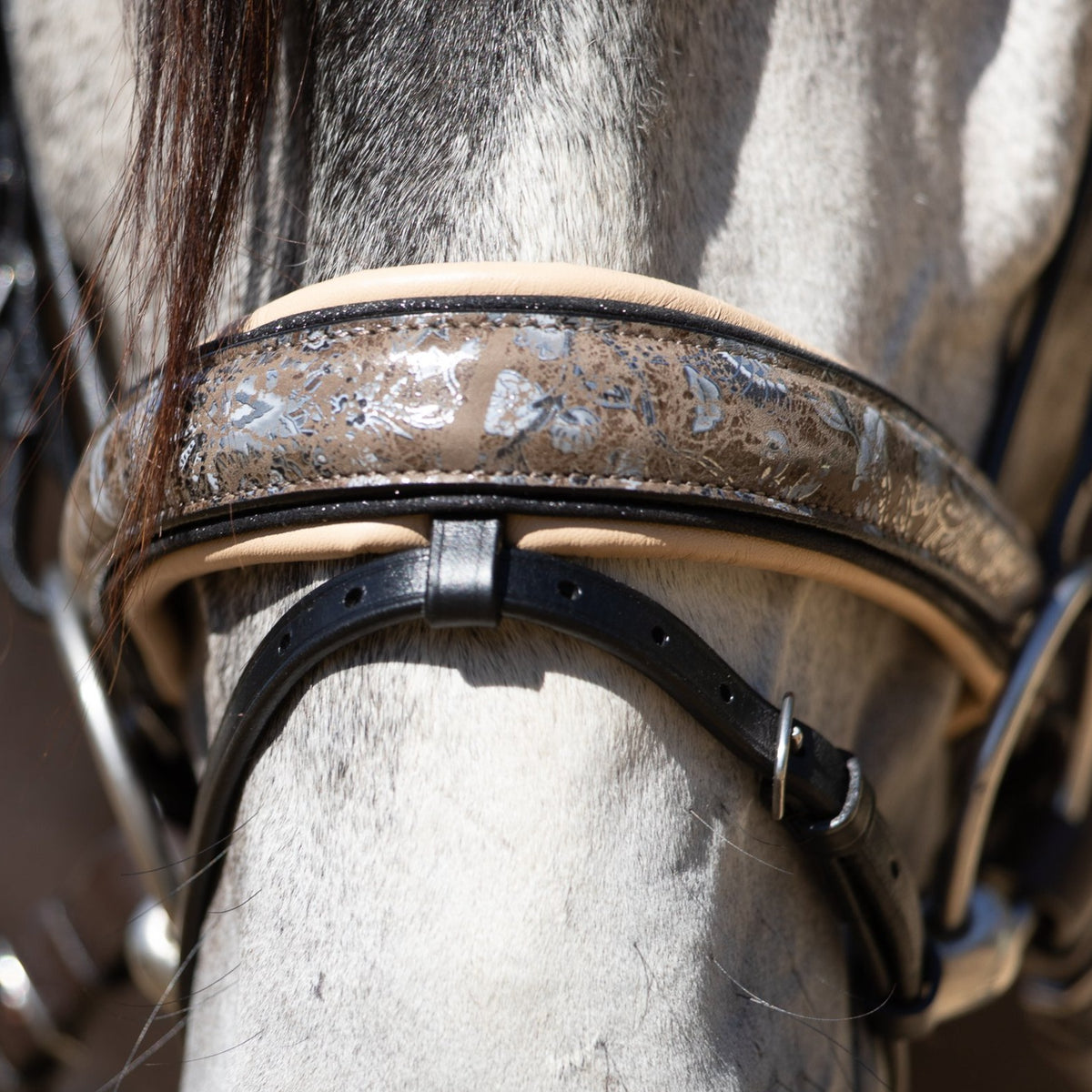 Limited Edition Baroque Bridle