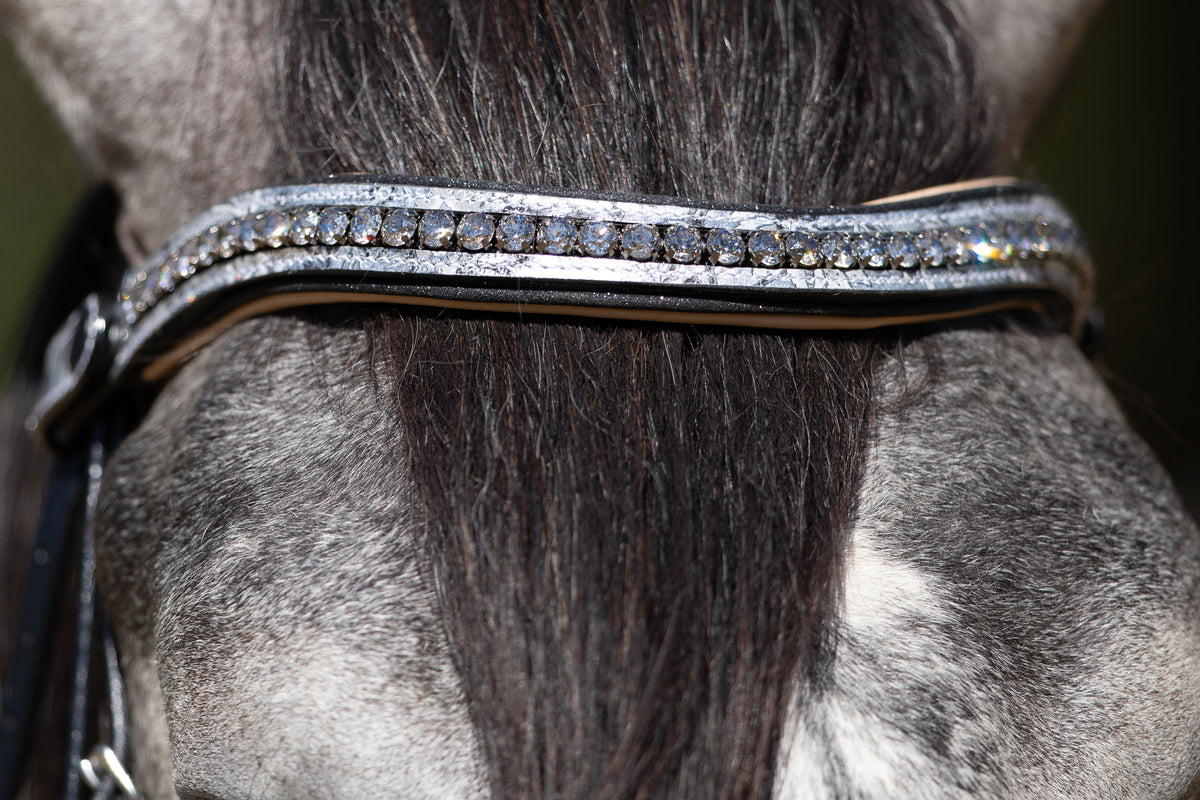 Limited Edition Venetian Snaffle Bridle