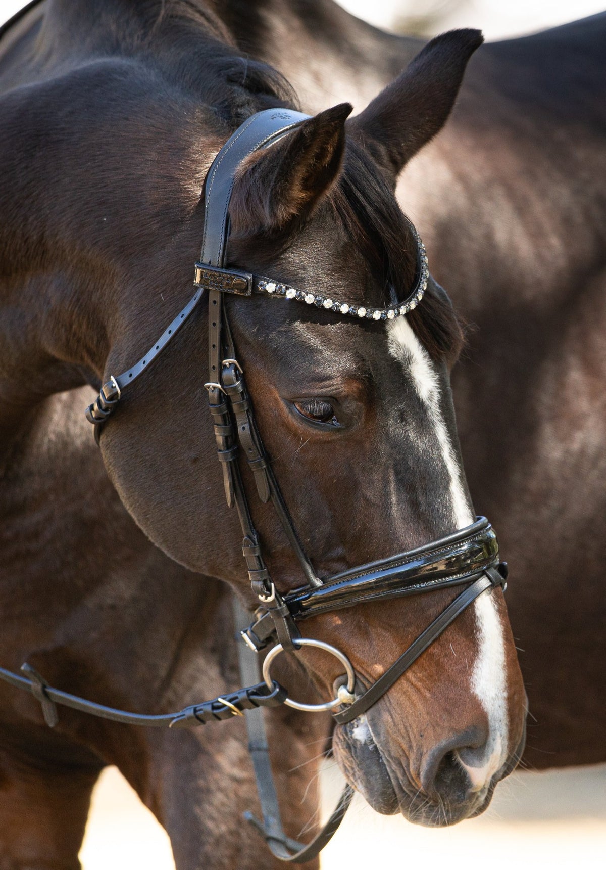 Sophie - Black Patent Leather Snaffle Conical Bridle