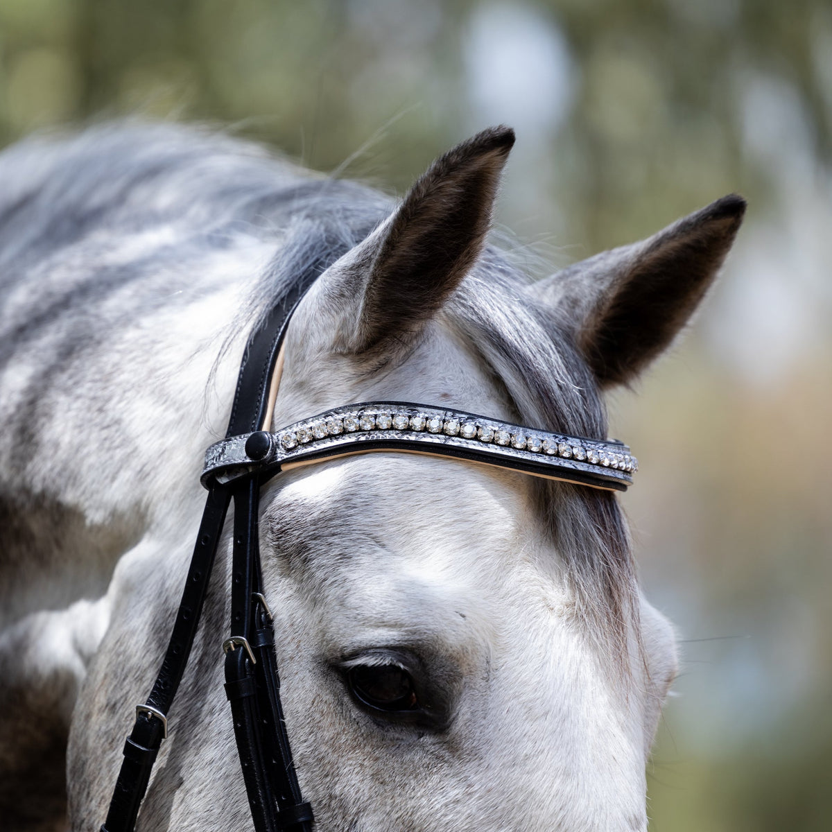 Limited Edition Venetian Snaffle Bridle