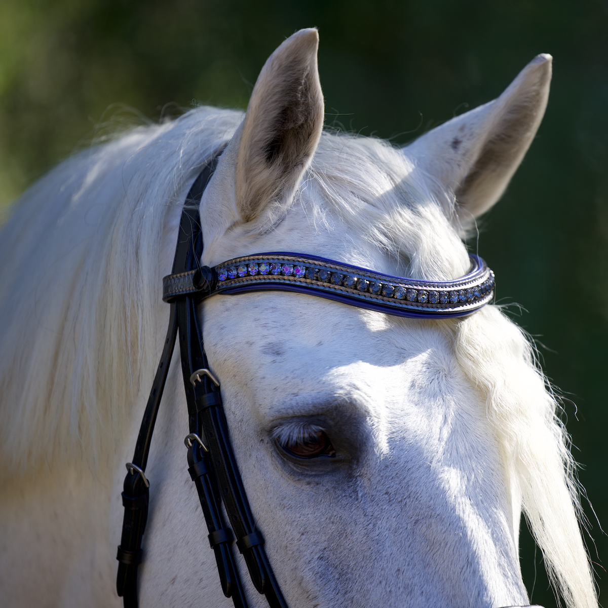 Petra Leather Snaffle Bridle