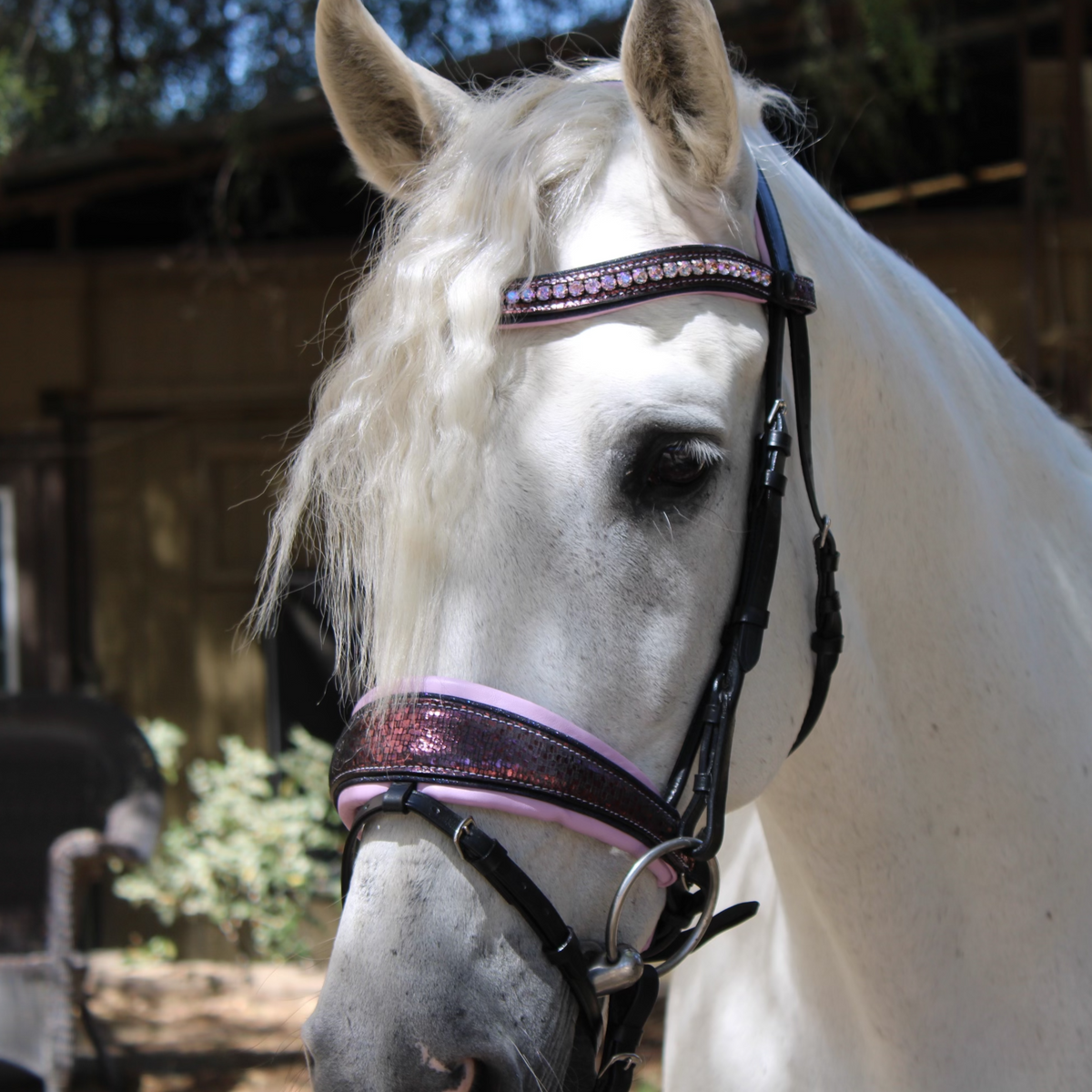 Limited Edition Cosmotini Snaffle Bridle
