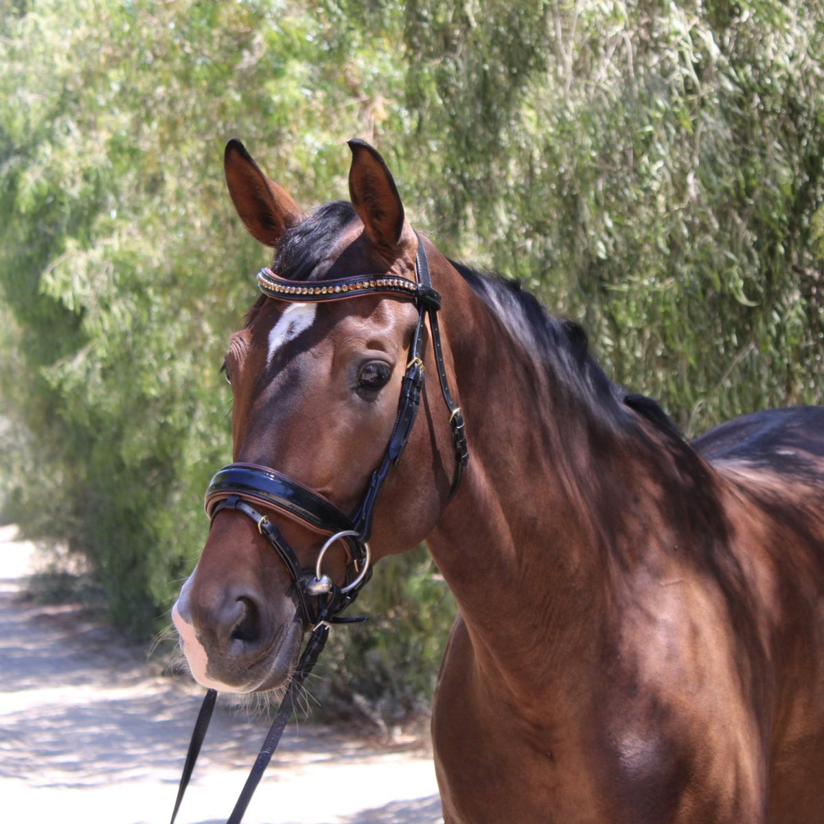 Palermo - Black Patent Brown Padding Sparkle Snaffle Bridle
