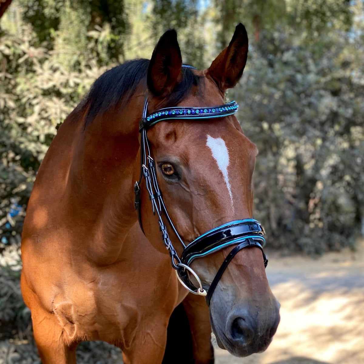 Mykonos - Limited Edition Black Patent Snaffle Bridle