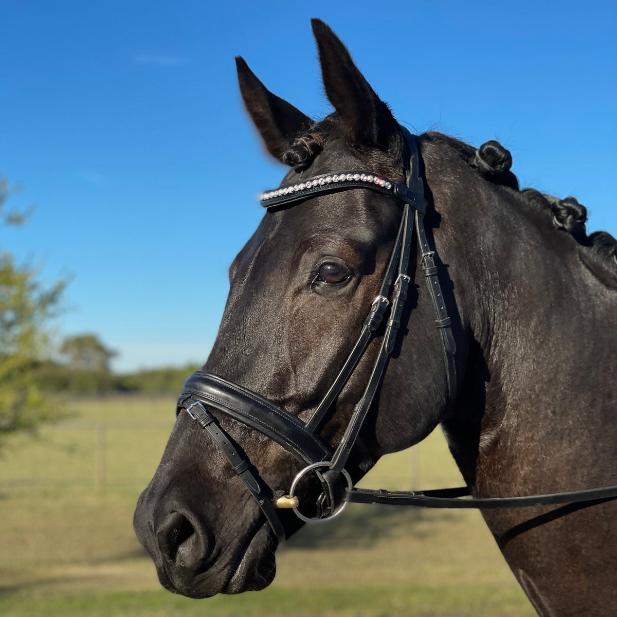 Halter Ego® Crystal Browband - Limited Edition - The Jaclyn