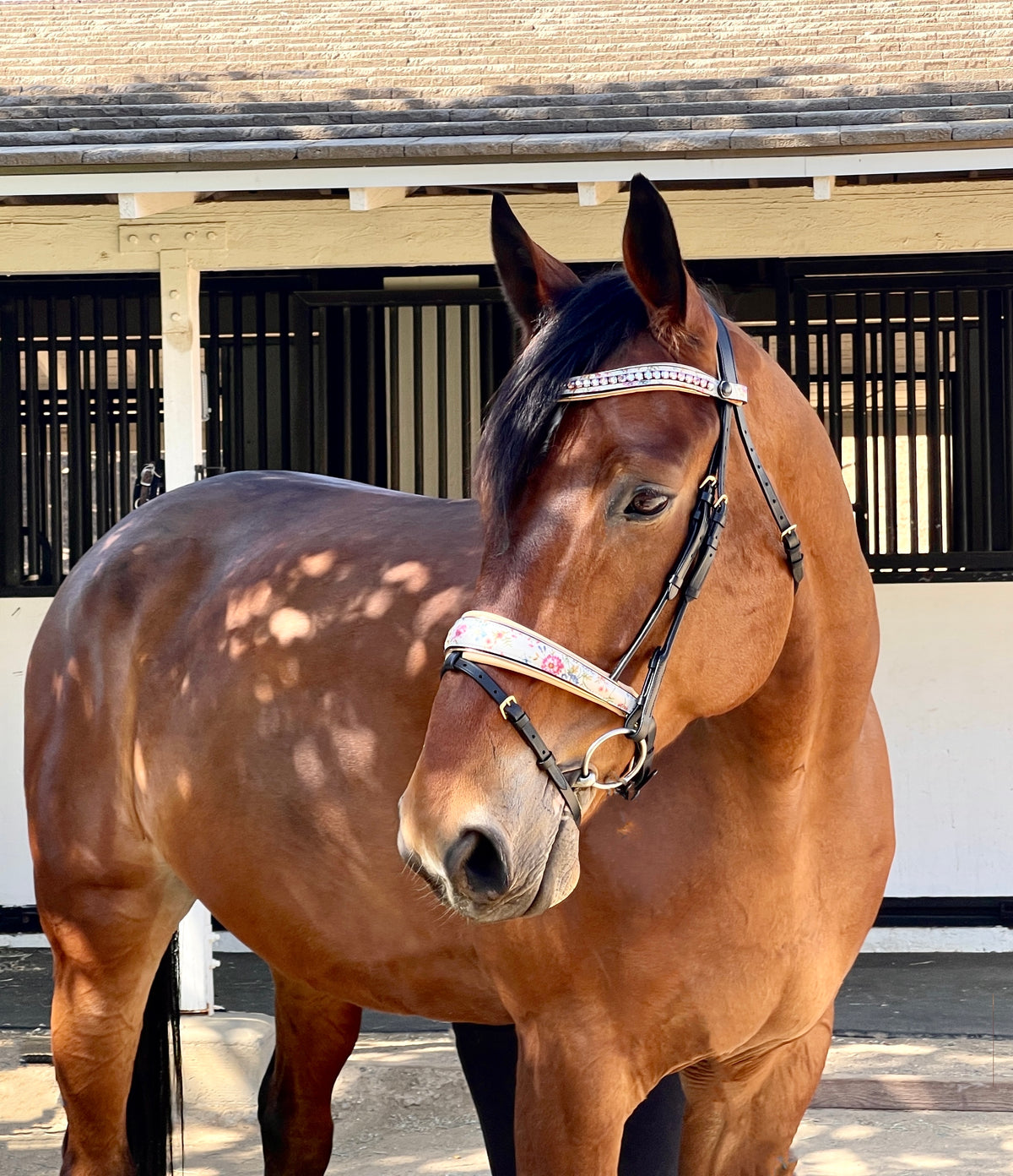 Dolce Snaffle Bridle