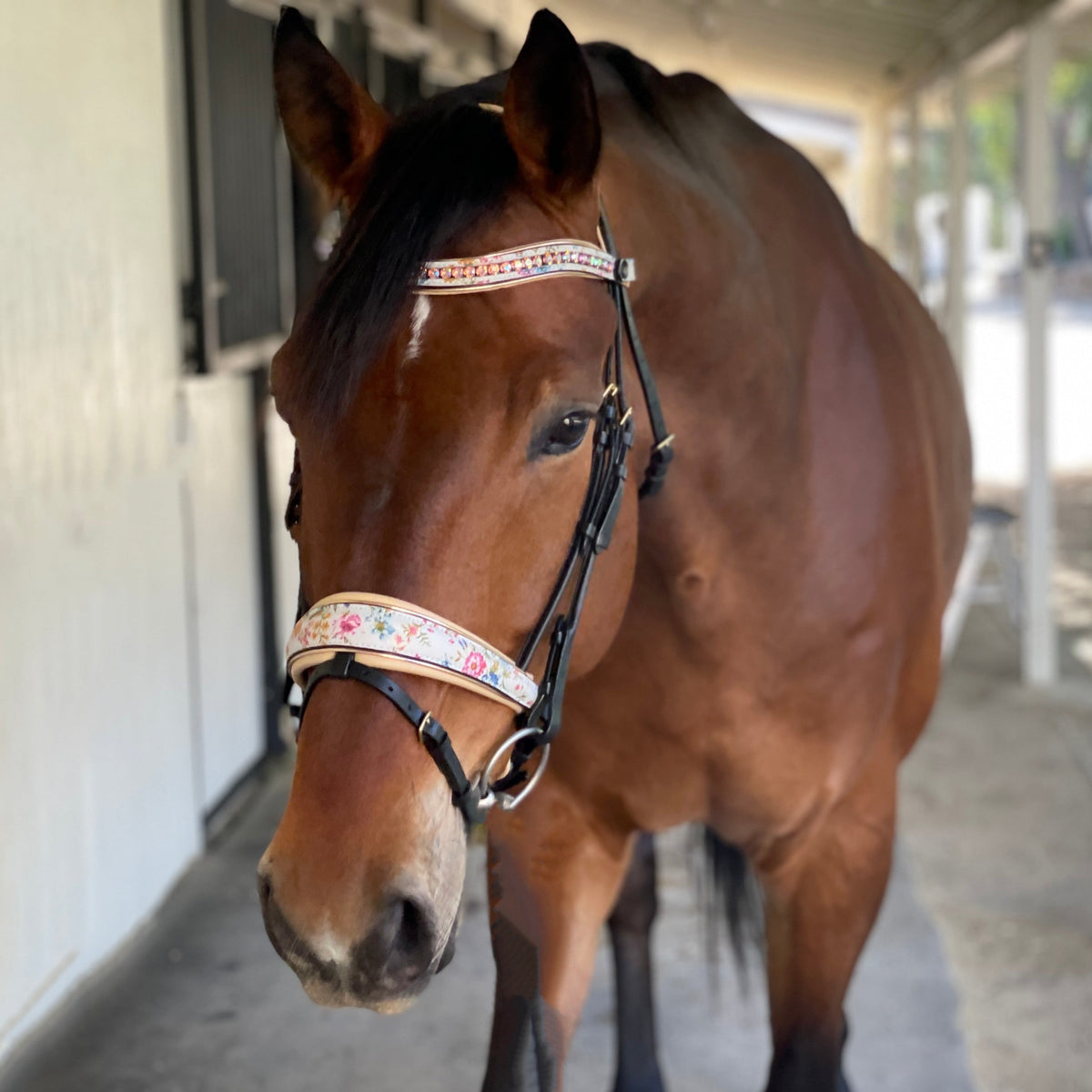 The Dolce Snaffle Bridle
