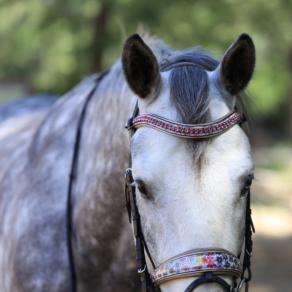 Limited Edition Versailles Snaffle Bridle