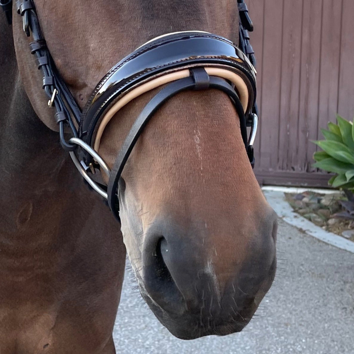 The Vienna Brown Patent Leather Snaffle Bridle with Bronze Golden Sparkle Piping