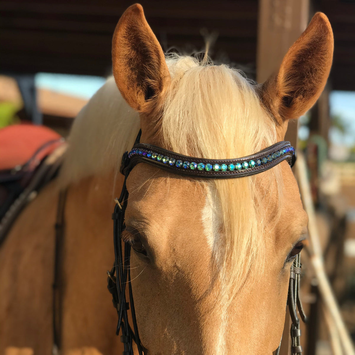 Halter Ego®  Crystal Patent Browband - Limited Edition - Peacock