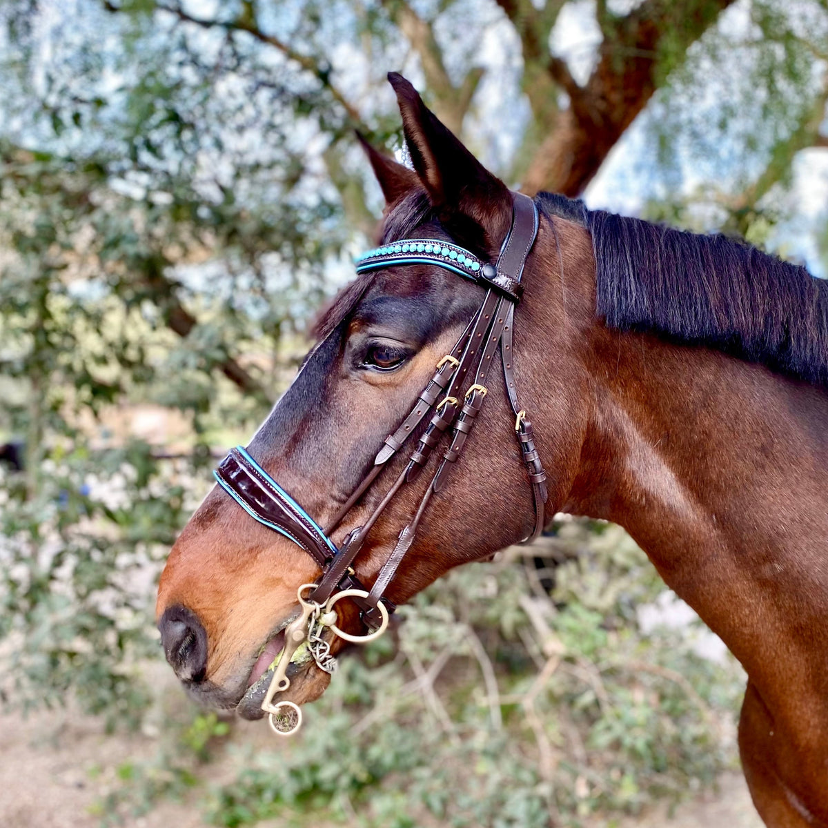 Limited Edition Oceania - Brown Patent Double Bridle