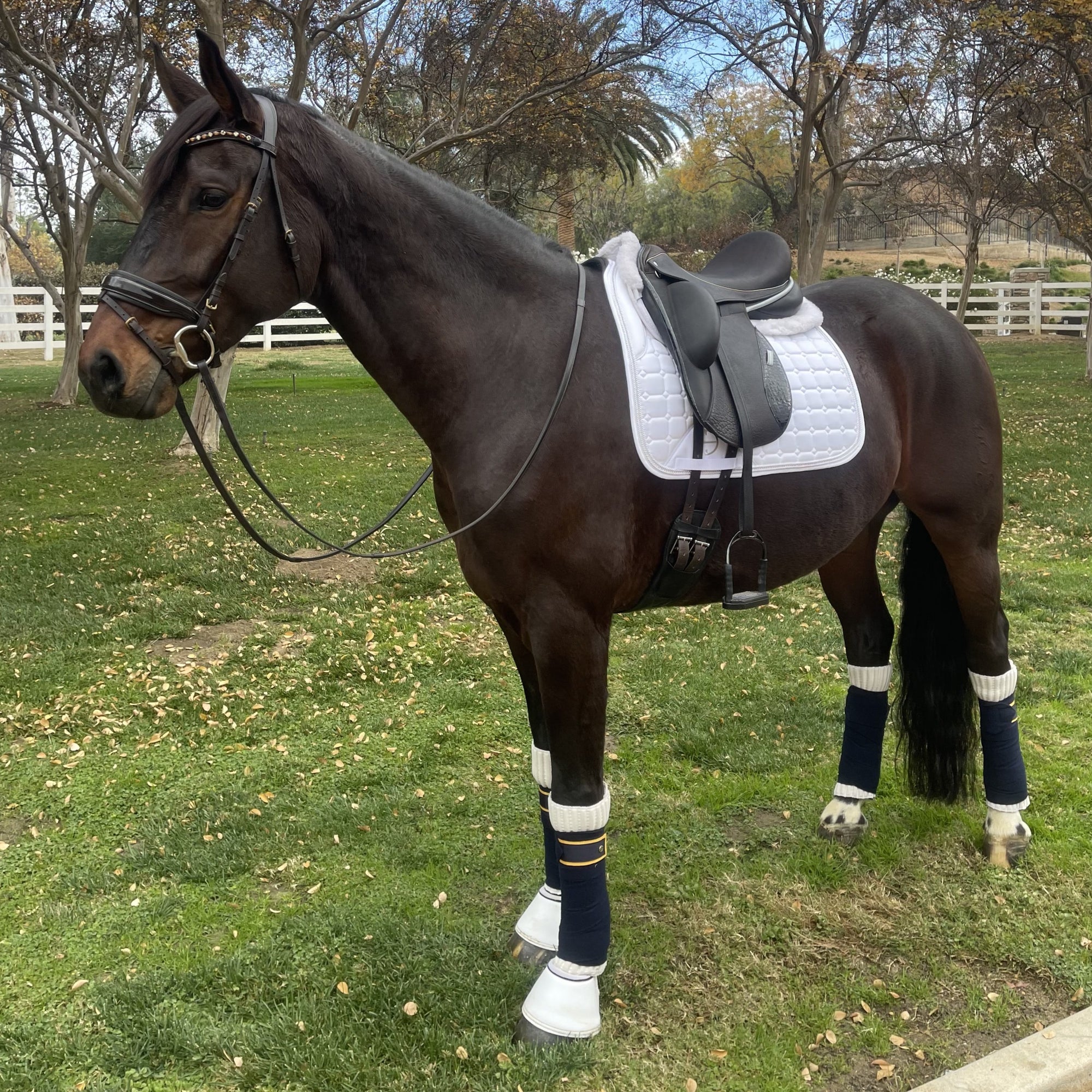 White satin quilted dressage saddle pad with crystals