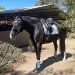 European Cotton Dressage Saddle Pad