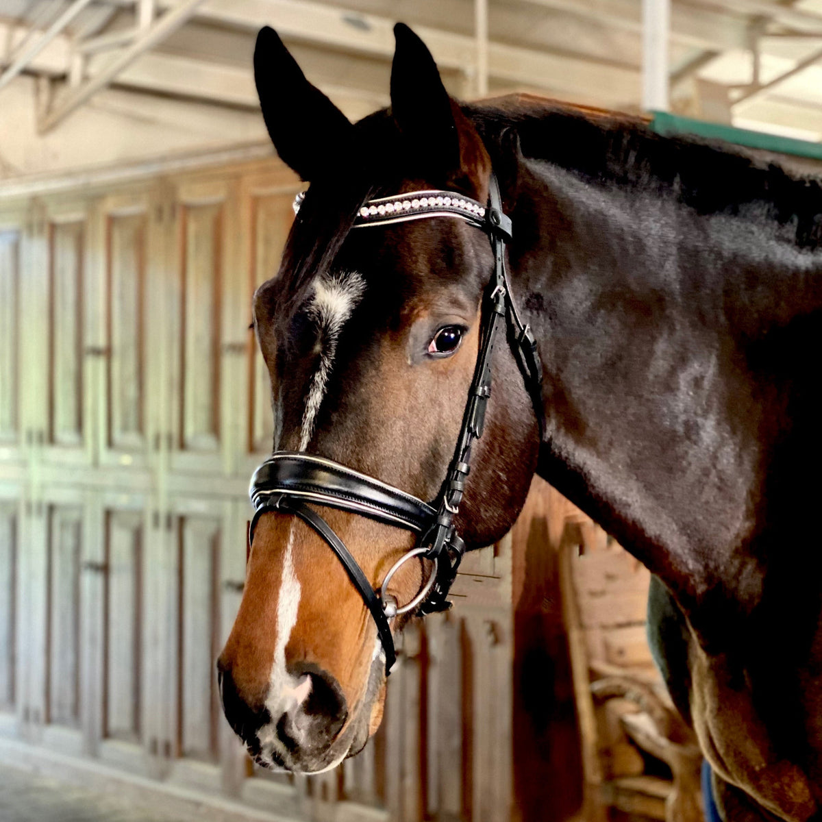 Holiday Gold Black Leather Snaffle Bridle
