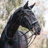 Halter Ego® 'Lexington' Non-Patent Black Leather Double Bridle