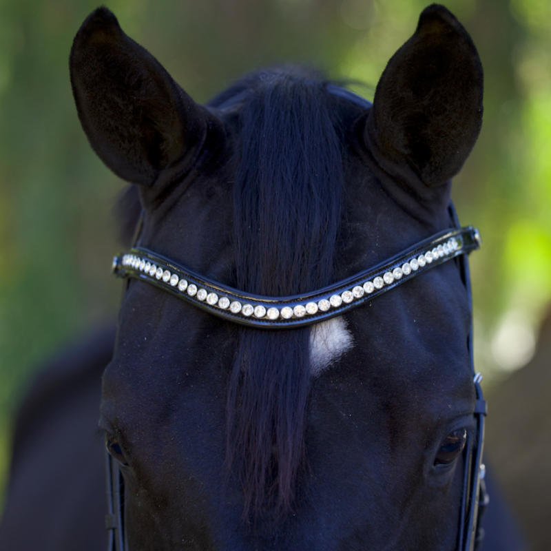 Halter Ego® Wave Snap Browband with Clear Crystals