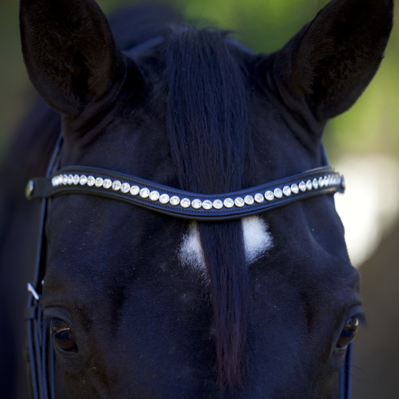 Wave Snap Browband with Clear Rivet Crystals