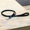 Halter Ego® Metallic Teal Dog Leash