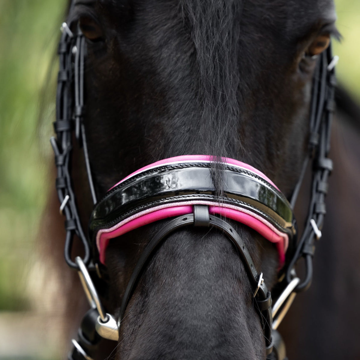 Penelope - FULL WITH X-FULL BROWBAND
