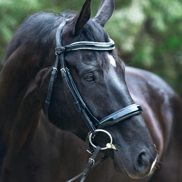 Halter Ego® 'Wellington' Black Patent Snaffle Bridle without Flash