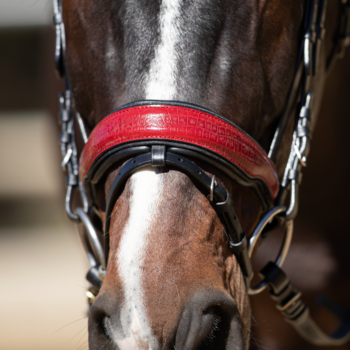 The Breanna - Red Patent Croc Snaffle