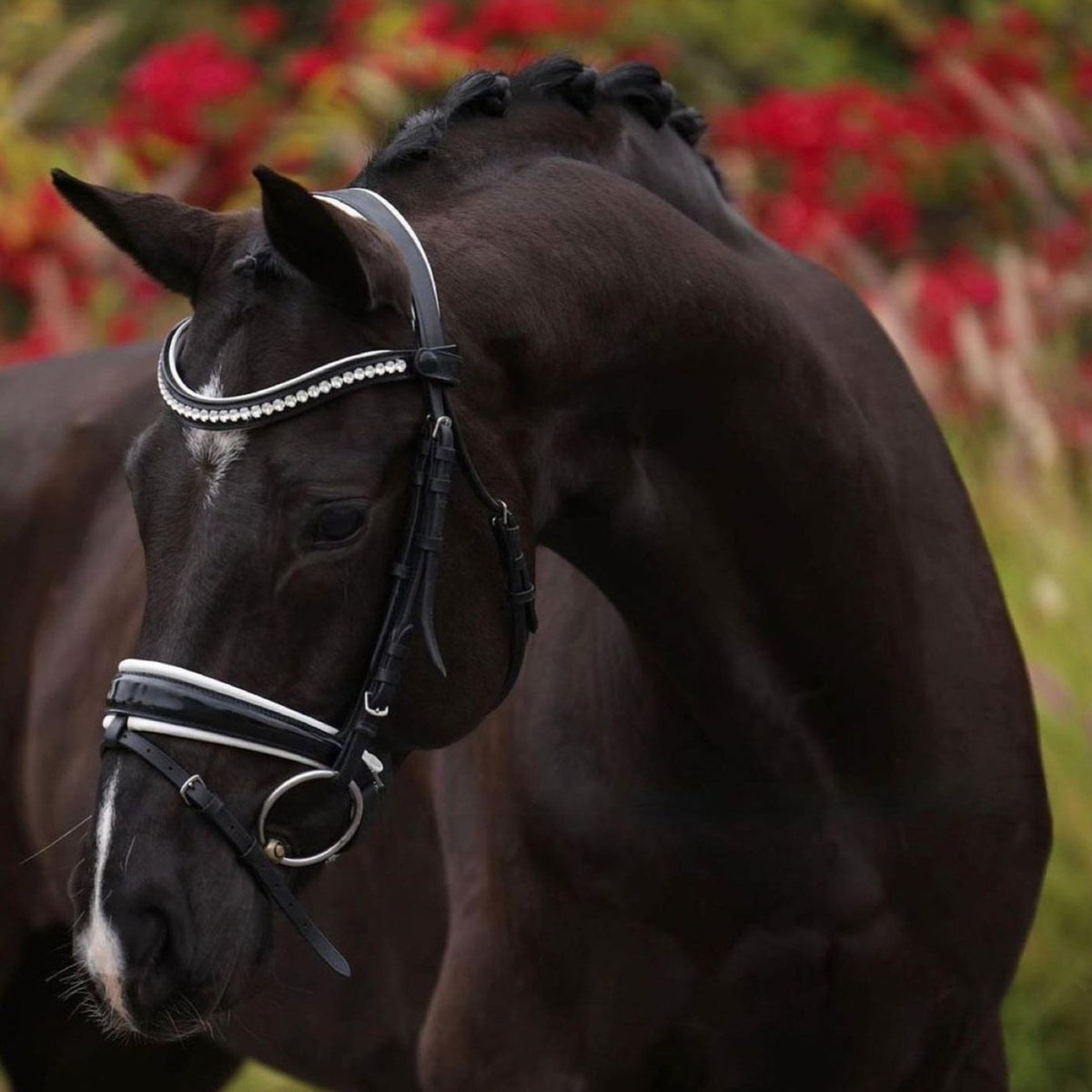 Monaco Rolled Leather Black Patent Snaffle Bridle