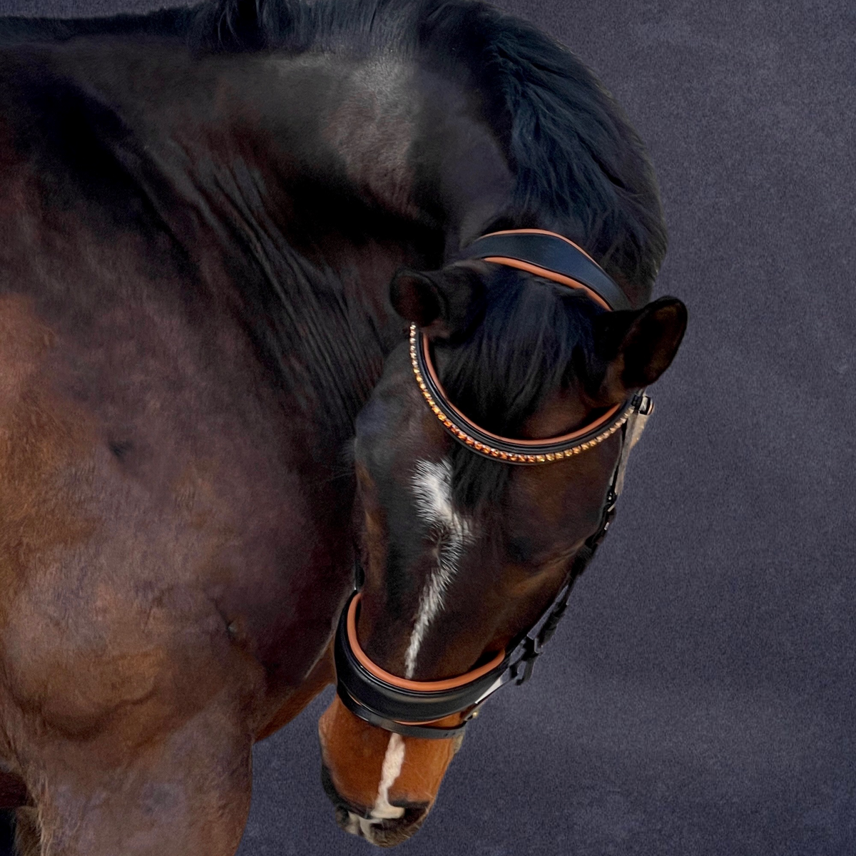 The Tuscany Black Leather Rolled Leather Snaffle Bridle with Removable Flash