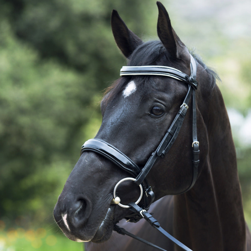 Wellington - Black Patent Leather Snaffle Bridle Without Flash