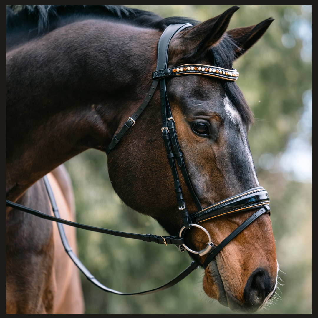Geneva - Black Patent Snaffle Bridle with Metallic Gold Piping
