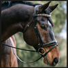 Geneva - Black Patent Snaffle Bridle with Metallic Gold Piping with Removable Flash