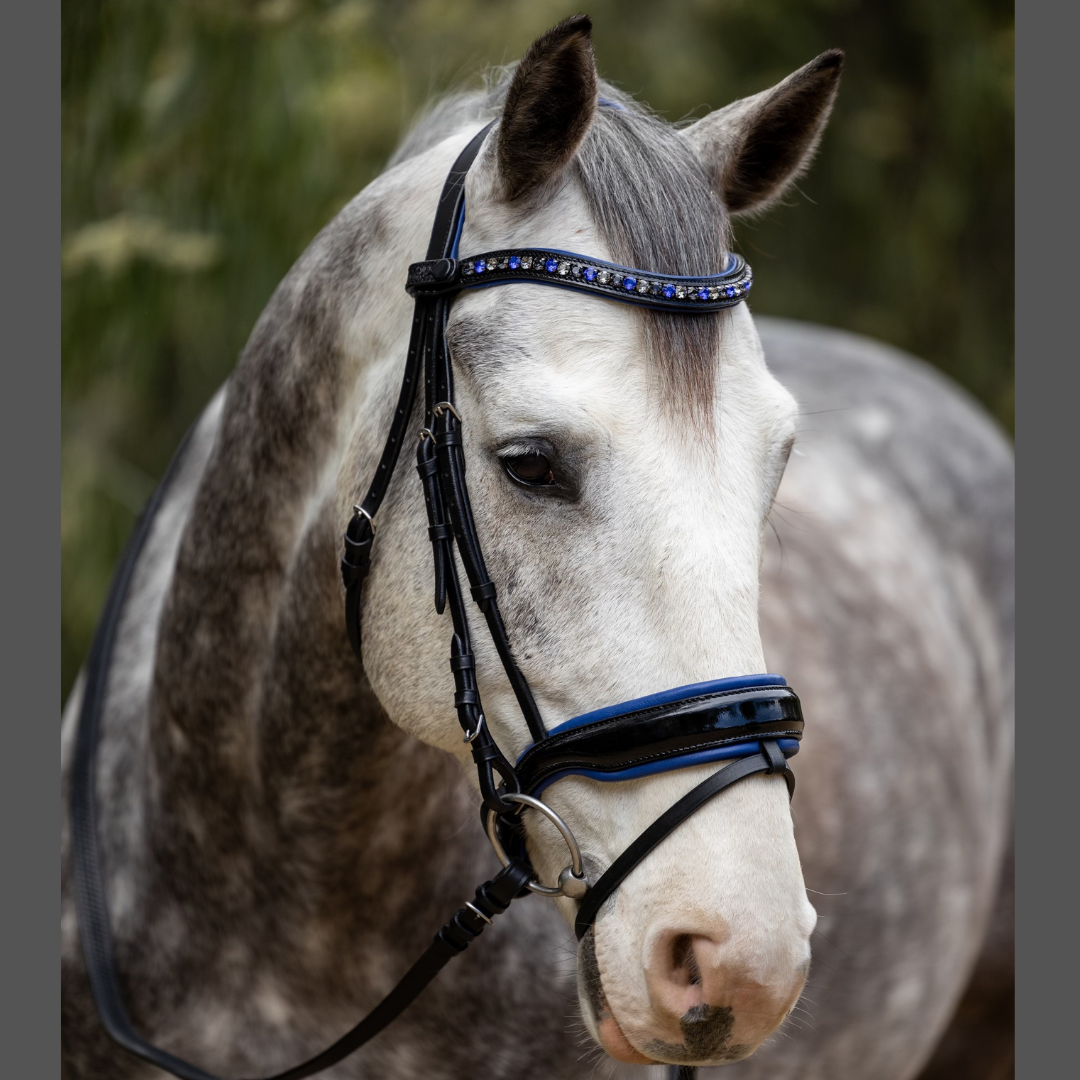 Halter Ego Copenhagen Snaffle – The Horse of Course