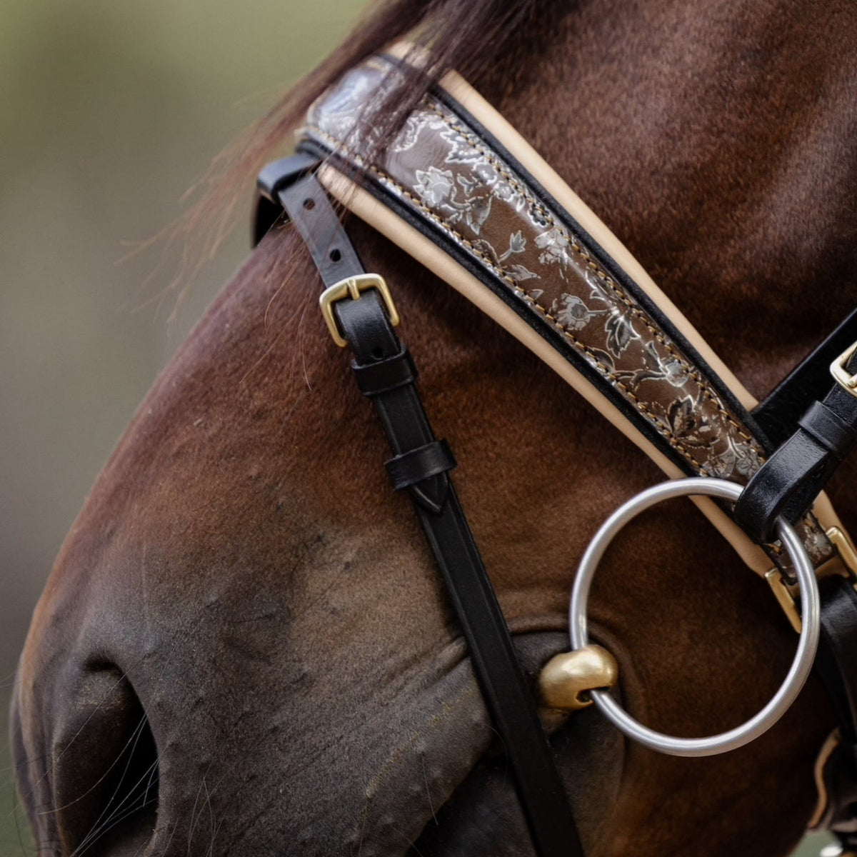 Limited Edition Baroque Bridle