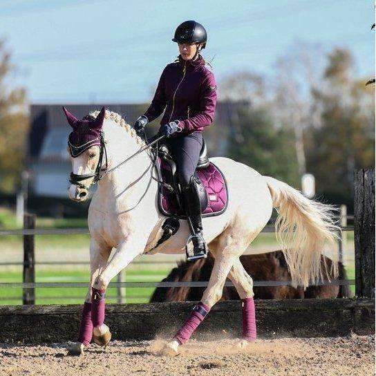 Equestrian Stockholm Purple Gold Fleece Bandages