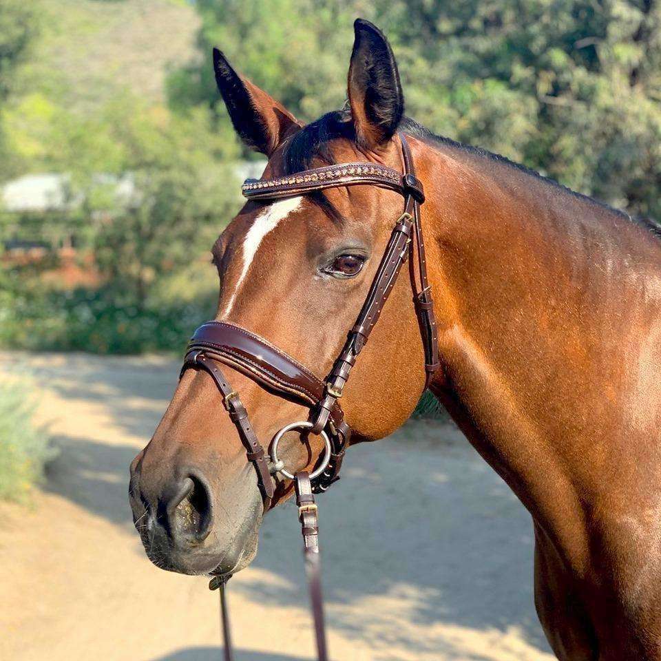 Phoenix Brown Patent Sparkle Snaffle Bridle