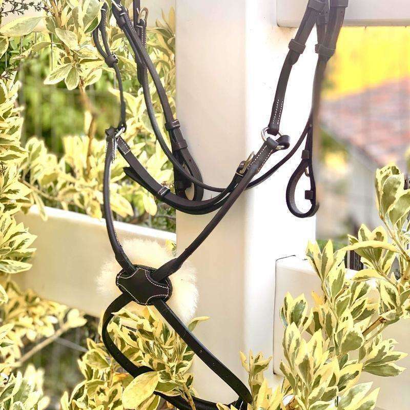 Halter Ego® - Brown Anatomical Rolled Figure 8 Bridle