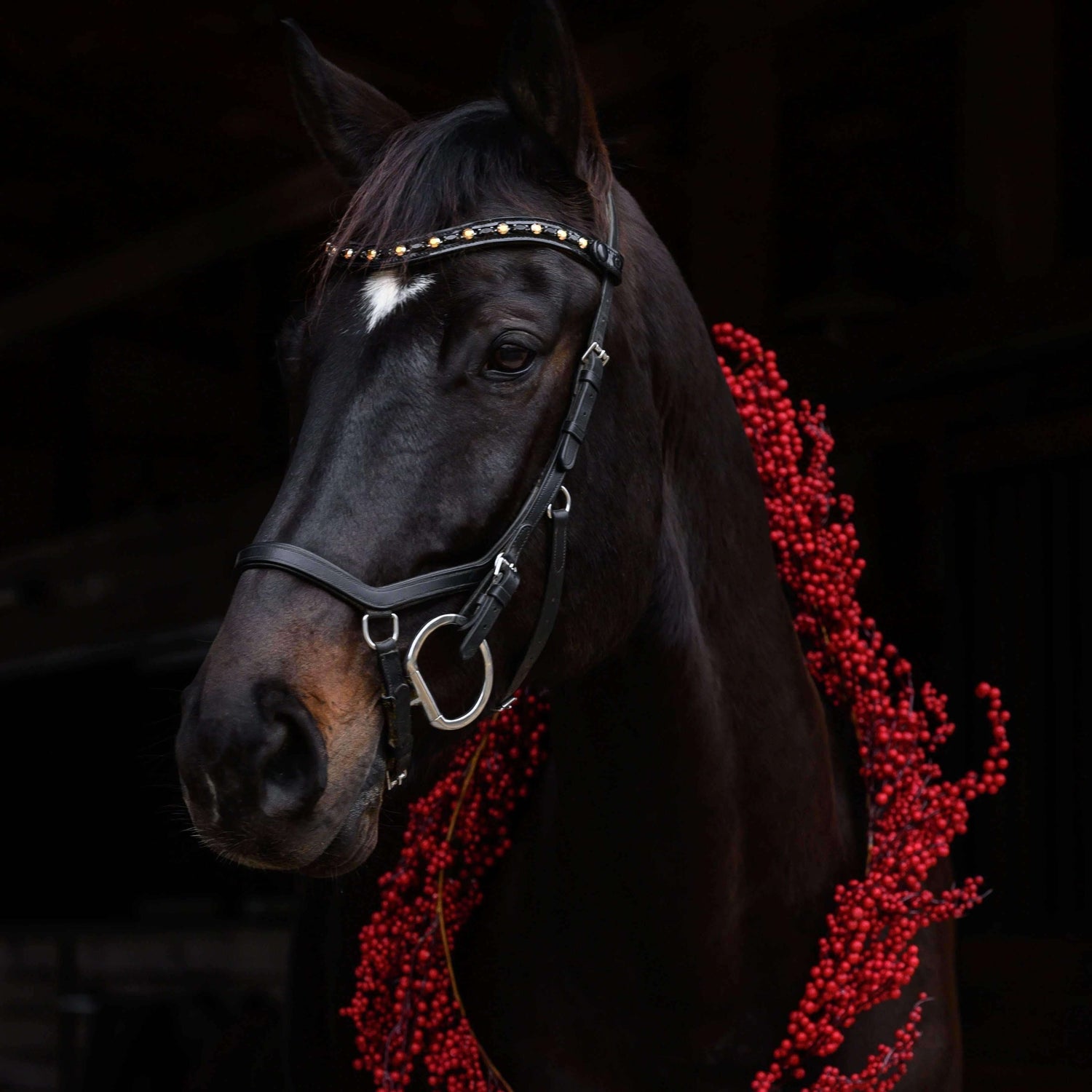 Austrian Crystal Black Patent Browband -  Golden Onyx