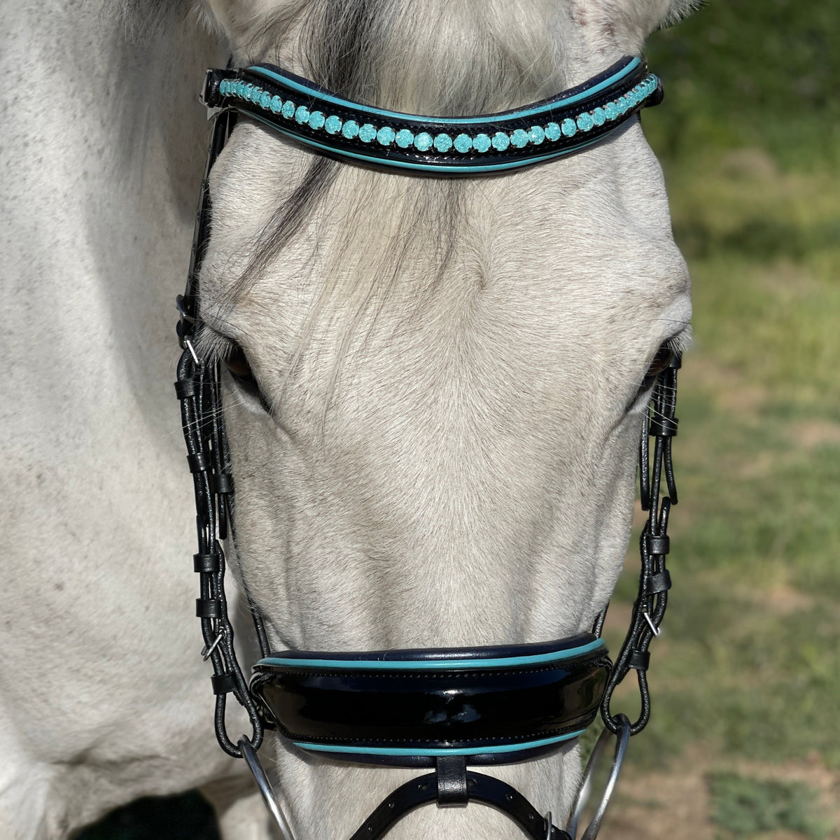 Fiji - Limited Edition Black Patent Snaffle Bridle