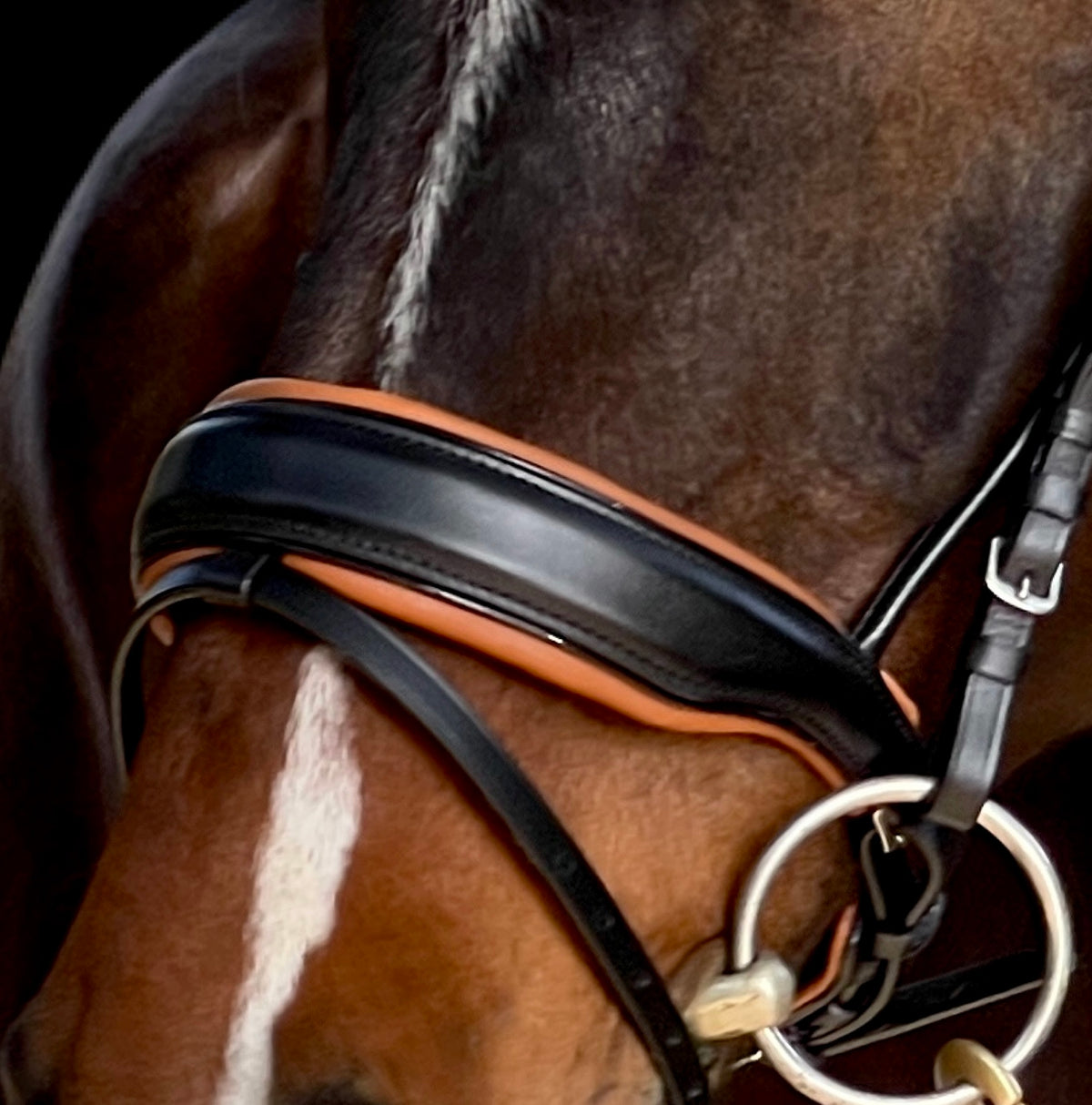 The Tuscany Black Leather Rolled Leather Snaffle Bridle with Removable Flash
