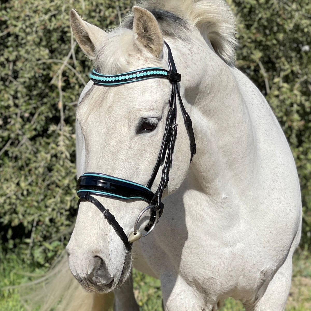 Fiji - Limited Edition Black Patent Snaffle Bridle