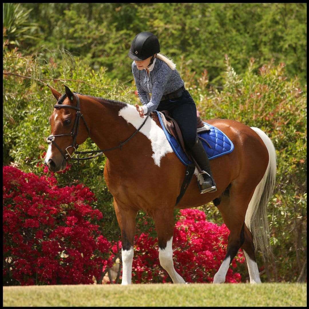 Luxe Jump Saddle Pad - Royal Blue