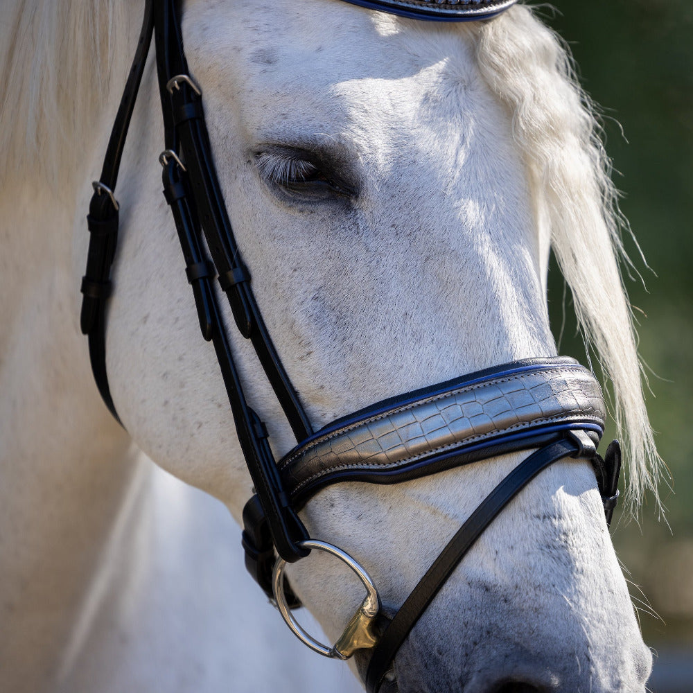 Petra Leather Snaffle Bridle