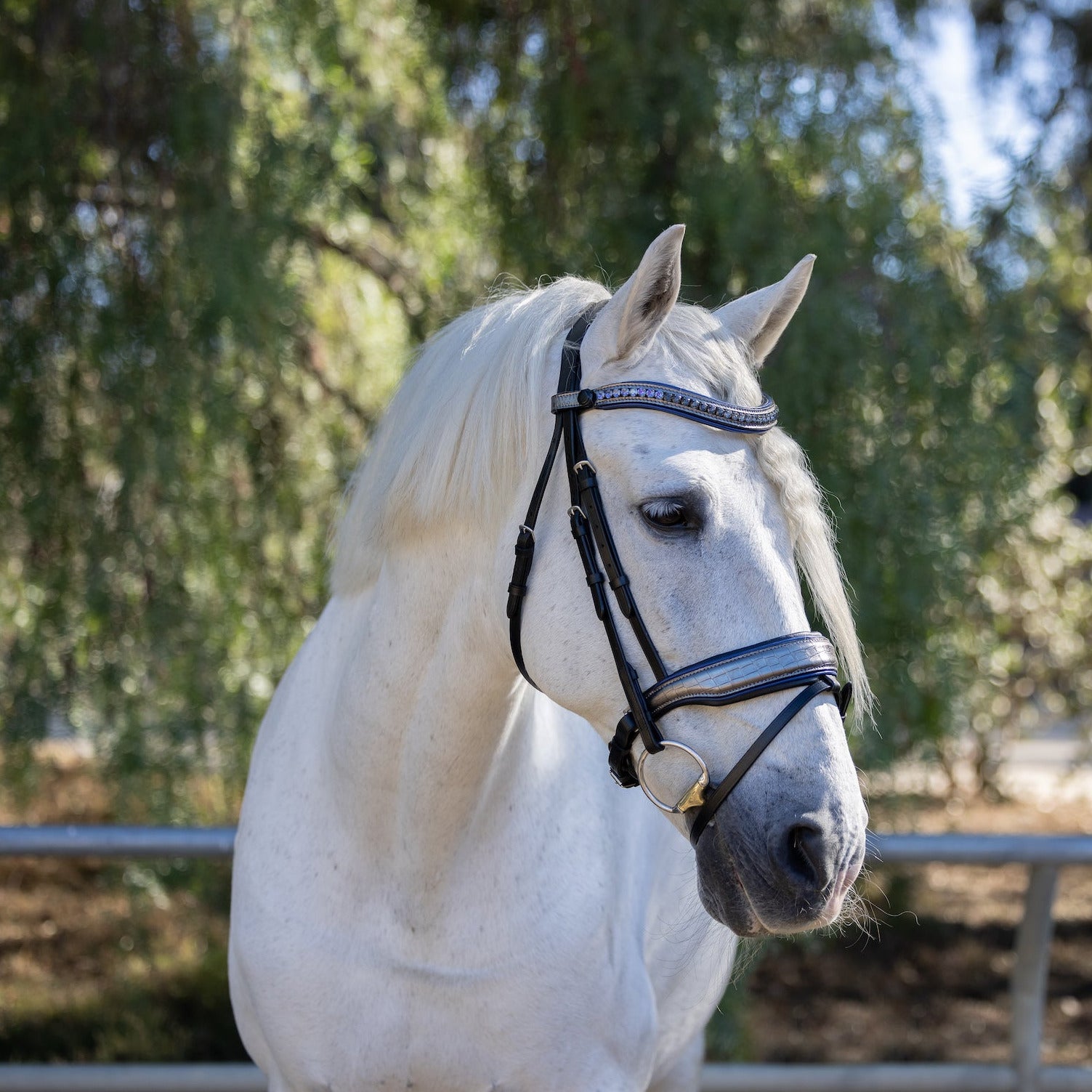 Halter Ego Copenhagen Snaffle – The Horse of Course