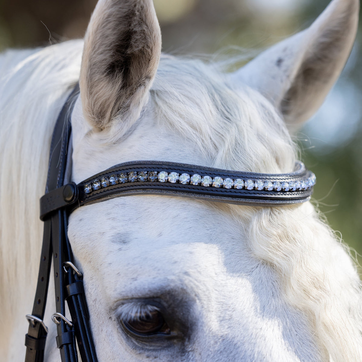 The Sterling Navy Leather Conical Snaffle