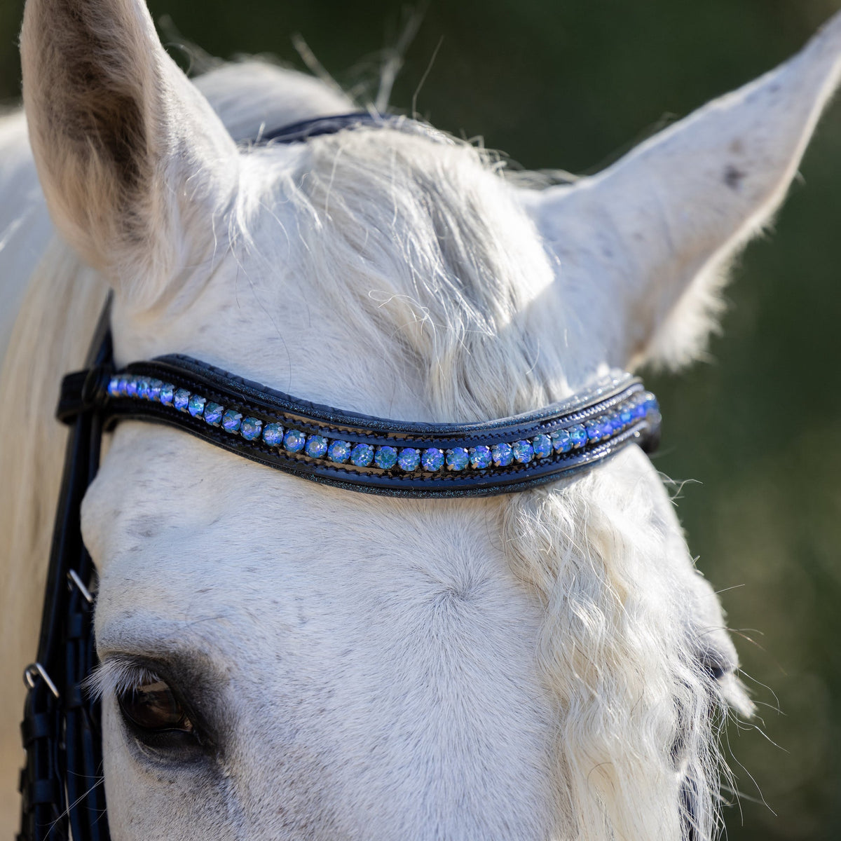 The Copenhagen - Navy Patent Leather Snaffle Bridle