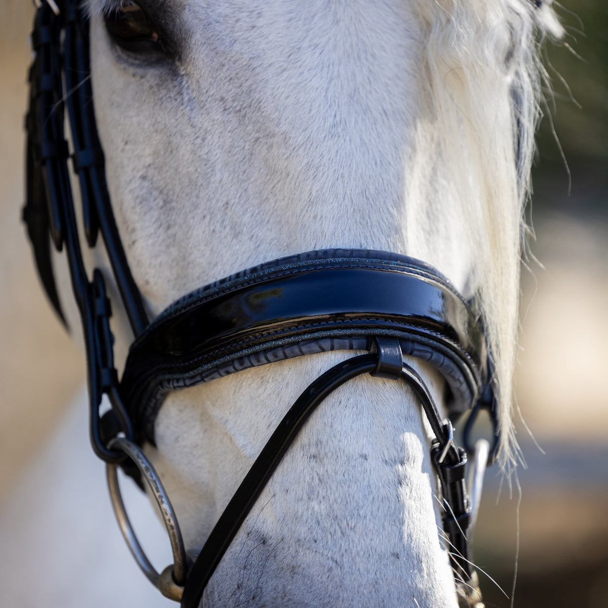 The Copenhagen - Navy Patent Leather Snaffle Bridle