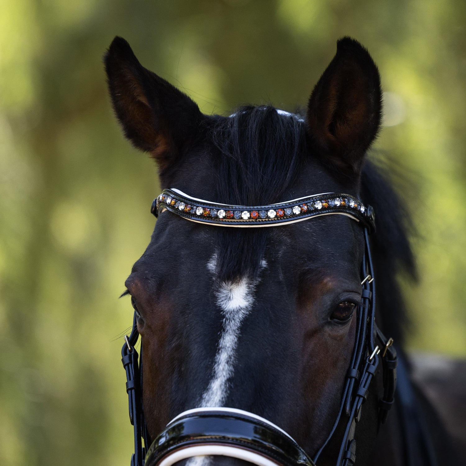 Taos Black Patent Double