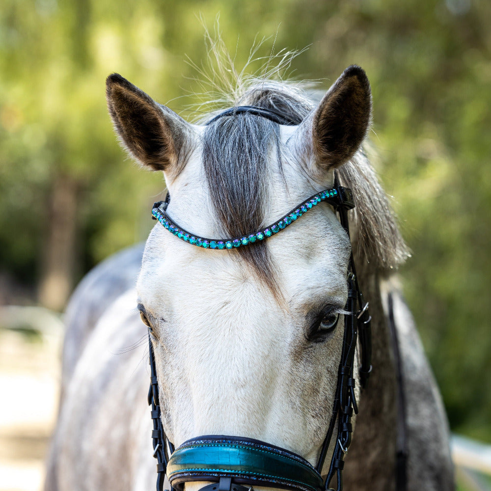 The Jewel Rock Crystal Snaffle Bridle